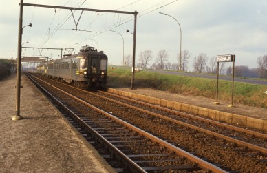 Hallewijn - TH 84-171.jpg